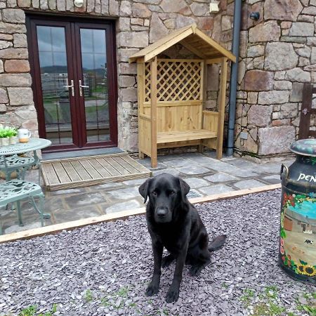 Conwy Pen Cefn Farm Holiday Abergele Kültér fotó